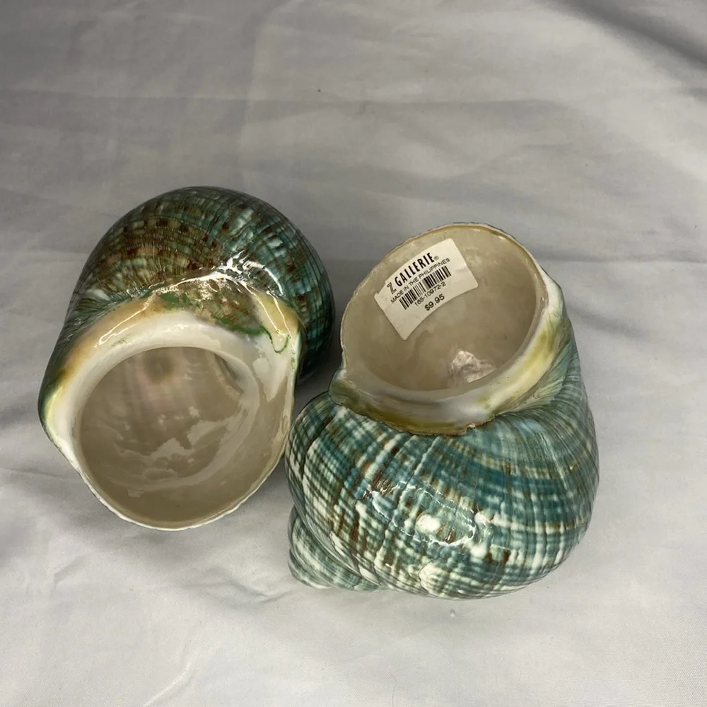 Set Of Two Green Z Gallerie Sea Shells